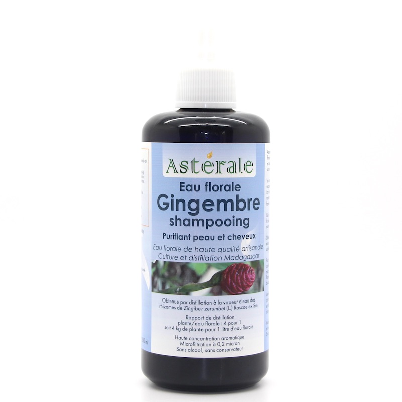 Gingembre shampooing 200 ml NP