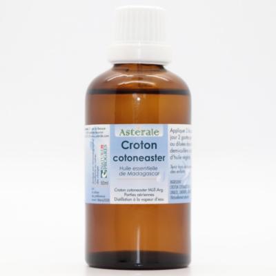 Croton cotoneaster 60 ml
