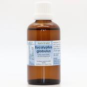 Eucalyptus globulus 60 ml