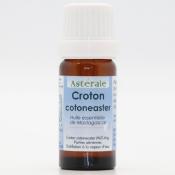 Croton cotoneaster 10 ml