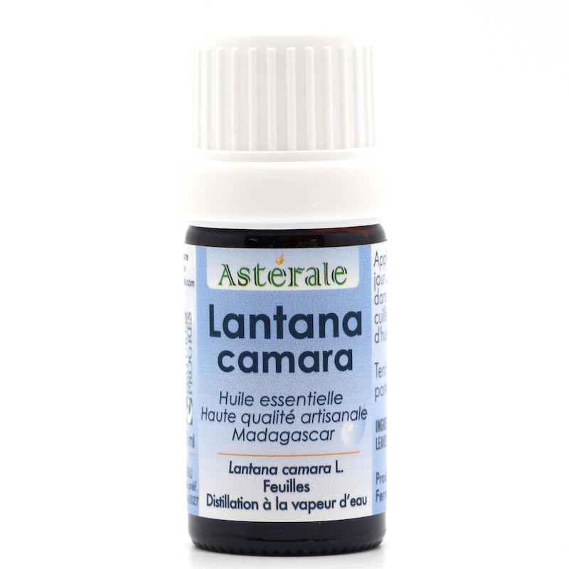 Lantana camara 5 ml NP