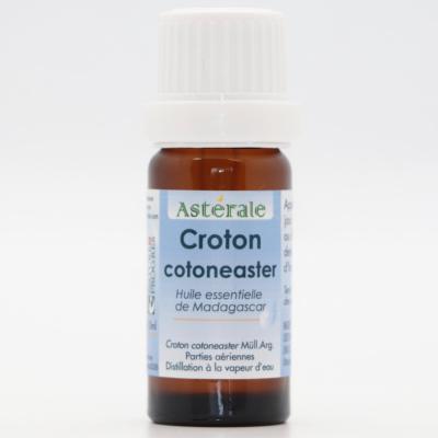 Croton cotoneaster 10 ml