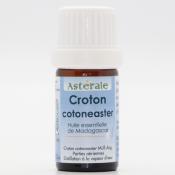 Croton cotoneaster 5 ml