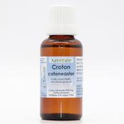 Croton cotoneaster 30 ml