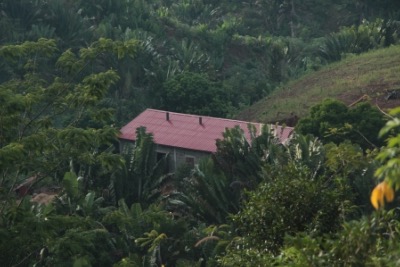 Distillerie du Domaine d'Ambohitsara